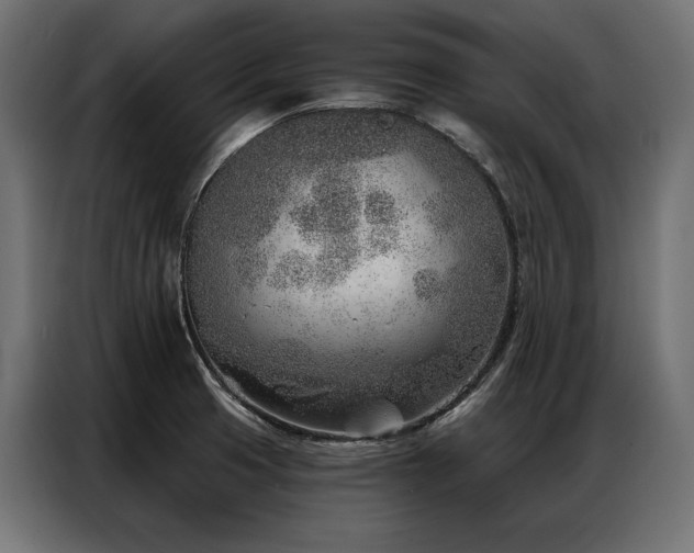 X0000086981425200704161440