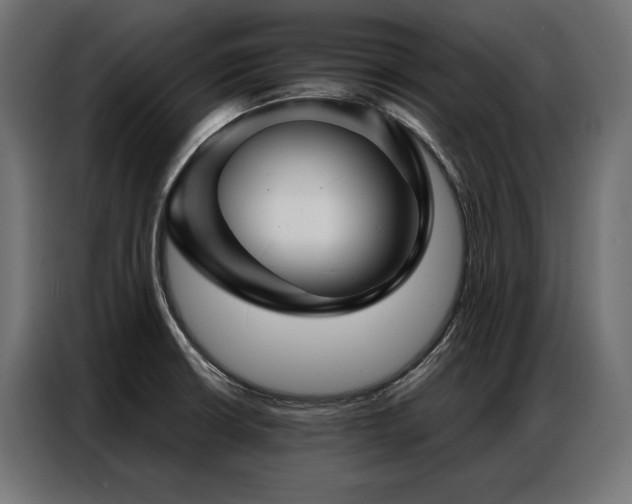 X0000086981426200704161440