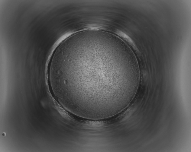 X0000086981427200704161440