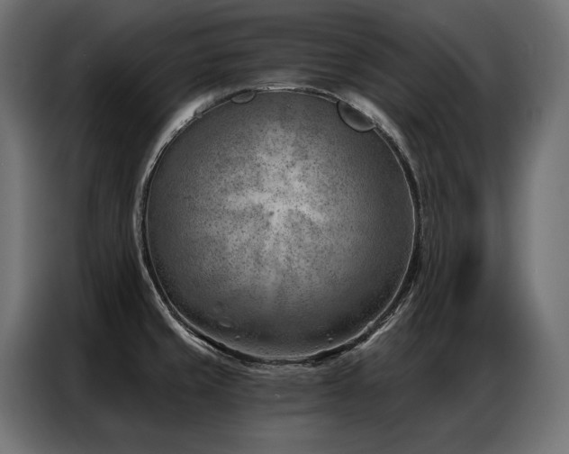 X0000086981429200704161440
