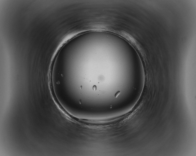 X0000086981432200704161440