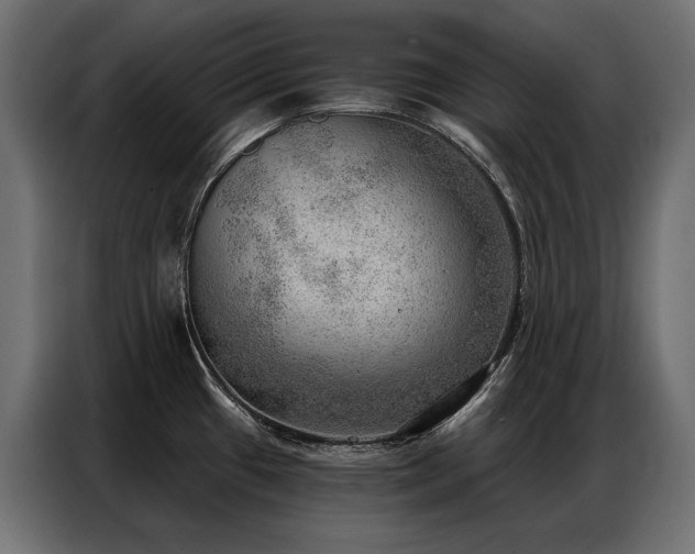 X0000086981433200704161440