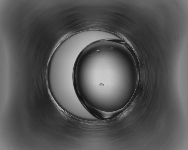 X0000086981434200704161440