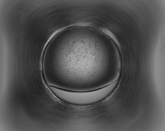 X0000086981436200704161440