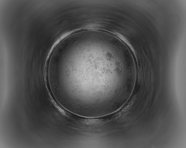 X0000086981437200704161440