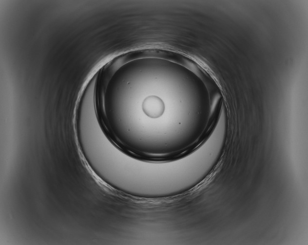 X0000086981438200704161440