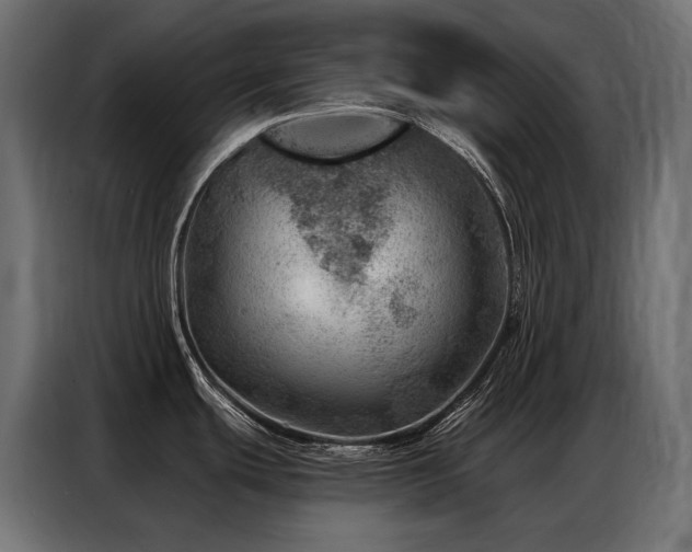X0000086981439200704161440