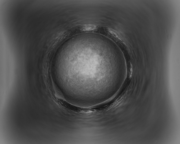 X0000086981441200704161440