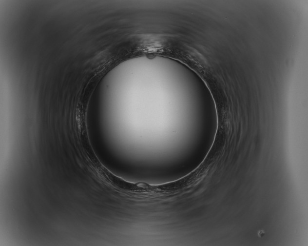 X0000086981442200704161440