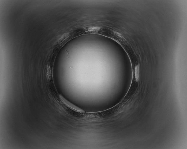 X0000086981443200704161440