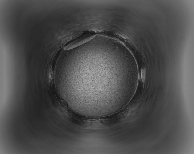 X0000086981444200704161440