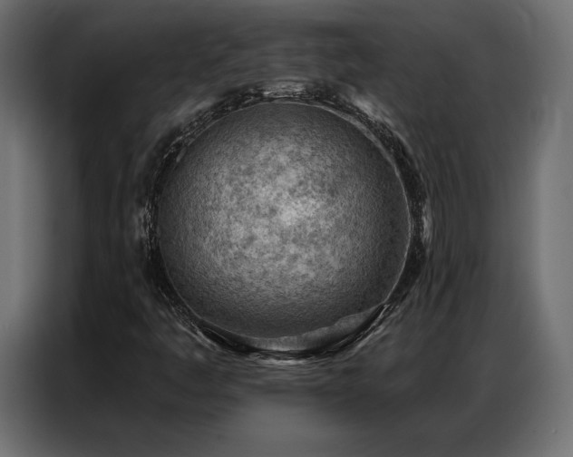 X0000086981445200704161440