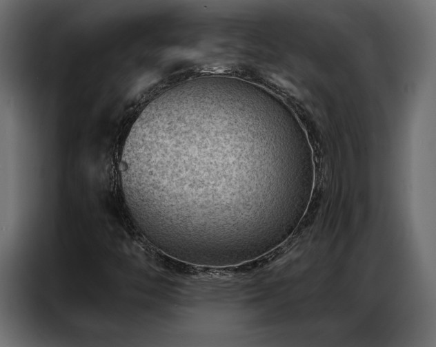 X0000086981446200704161440