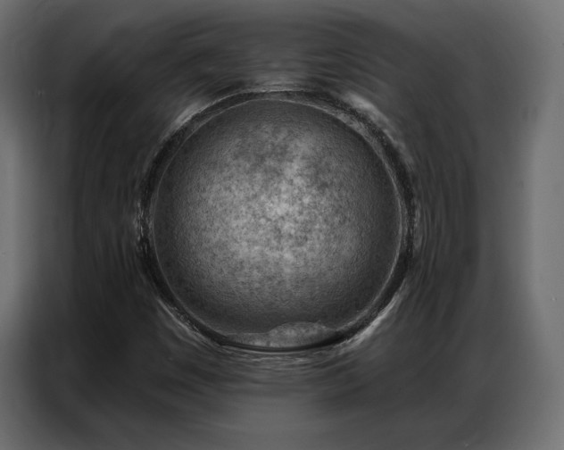 X0000086981449200704161440