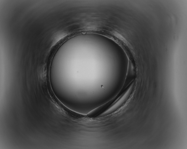 X0000086981450200704161440