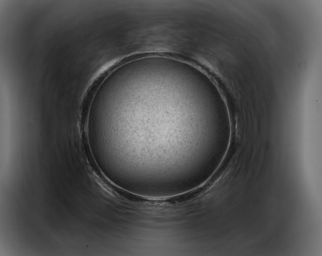 X0000086981452200704161440