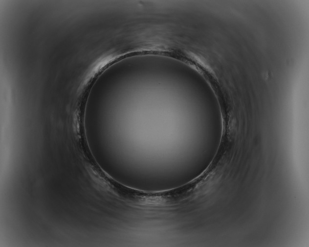 X0000086981455200704161440