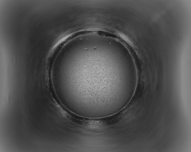 X0000086981456200704161440