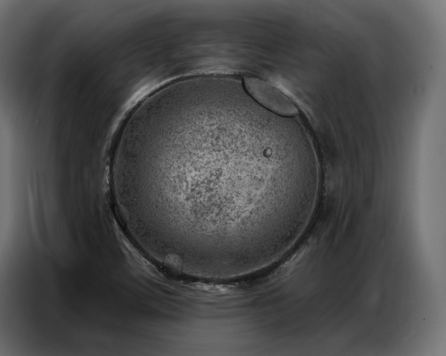 X0000086981459200704161439