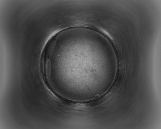 X0000086981463200704161439