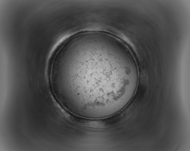 X0000086981464200704161439