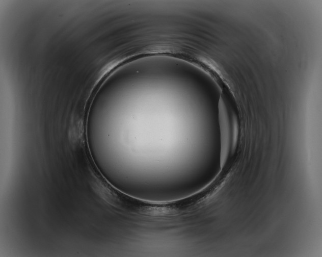 X0000086981465200704161439