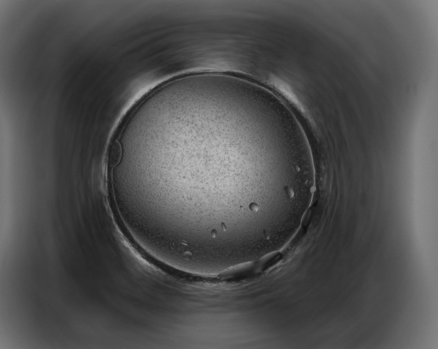 X0000086981468200704161439