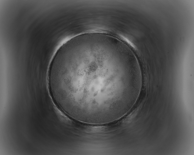 X0000086981471200704161439