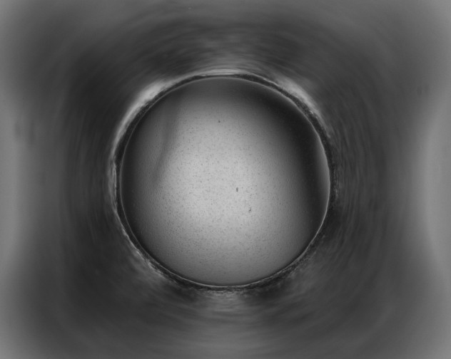 X0000086981472200704161439