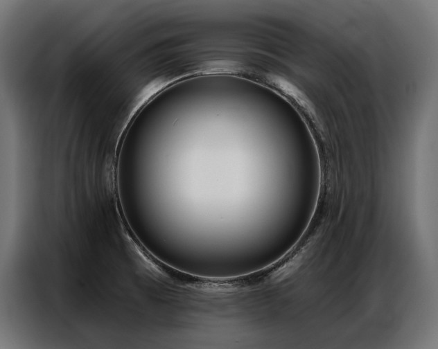 X0000086981473200704161439