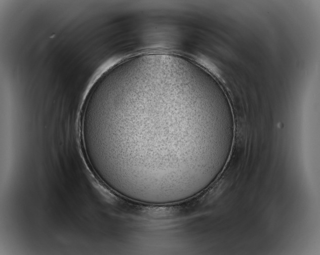 X0000086981474200704161439