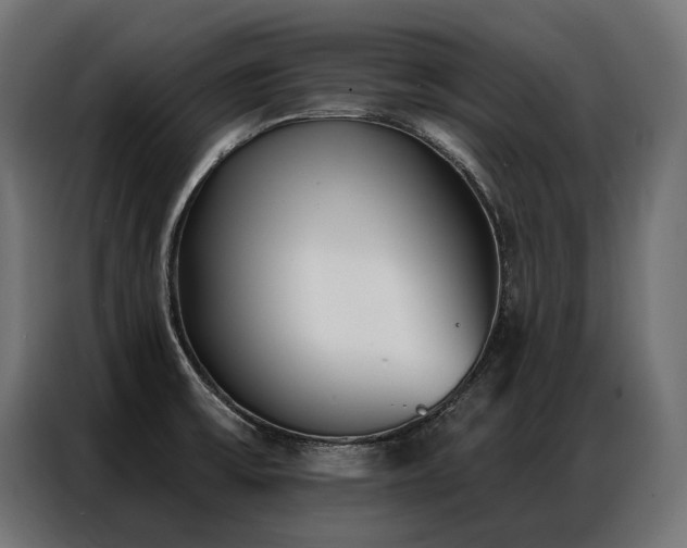 X0000086981475200704161439