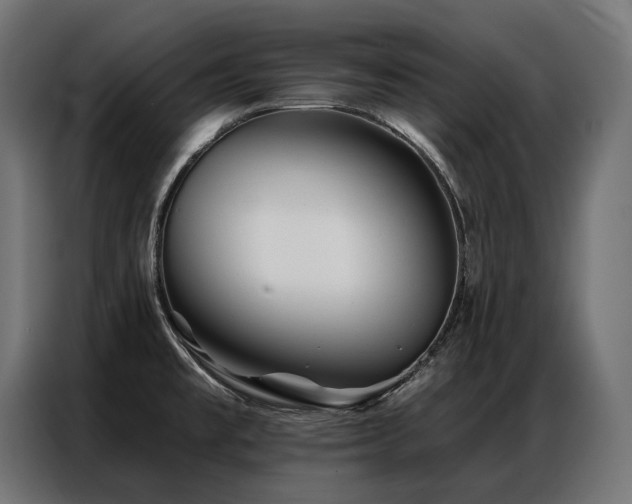 X0000086981477200704161439