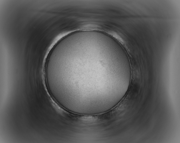 X0000086981478200704161439