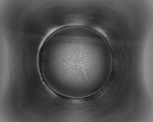 X0000086981480200704161439