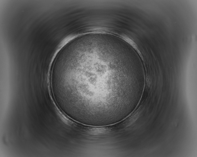 X0000086981482200704161439