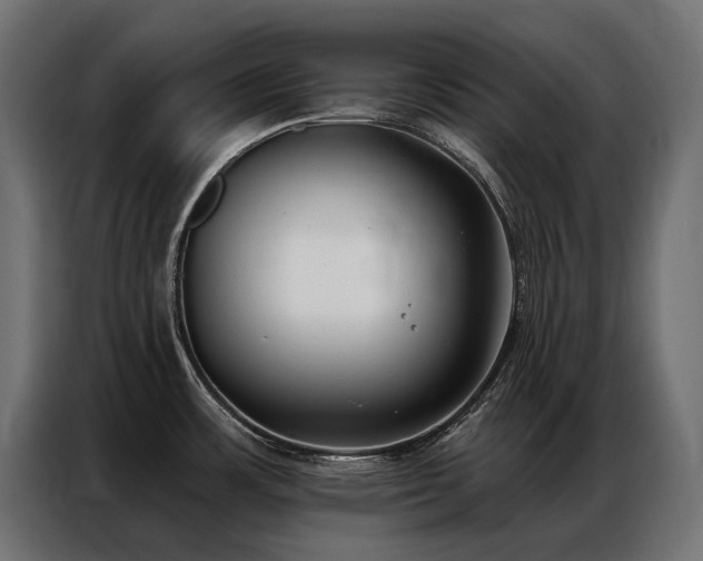 X0000086981483200704161439
