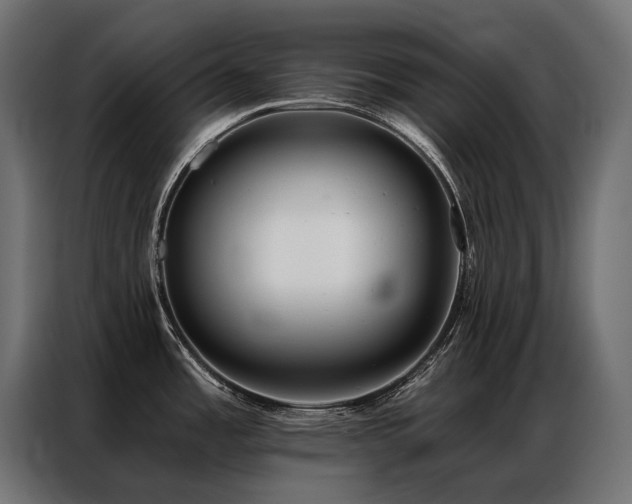 X0000086981485200704161439