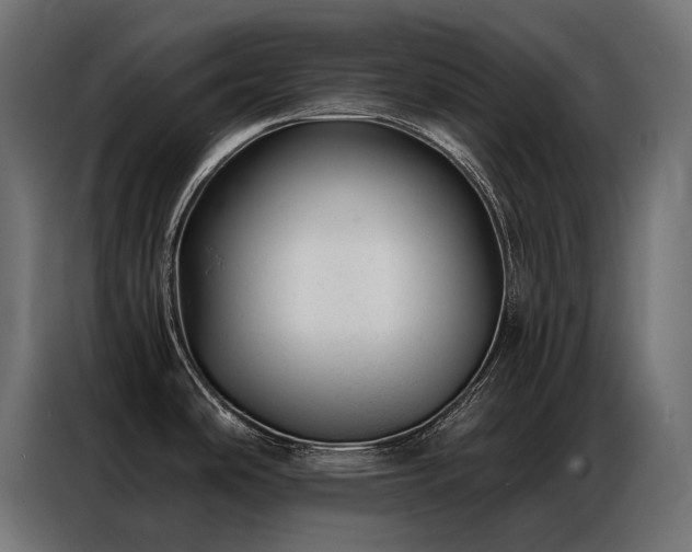 X0000086981486200704161439