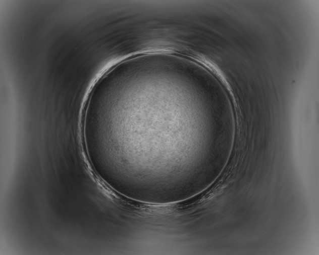 X0000086981488200704161439