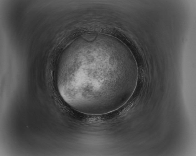 X0000086981489200704161439