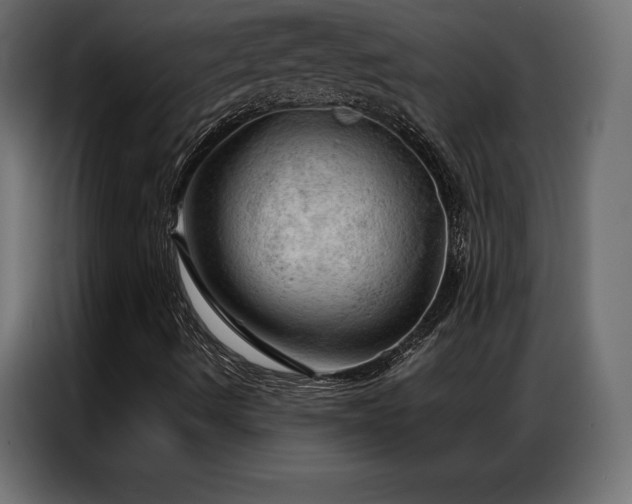 X0000086981490200704161439