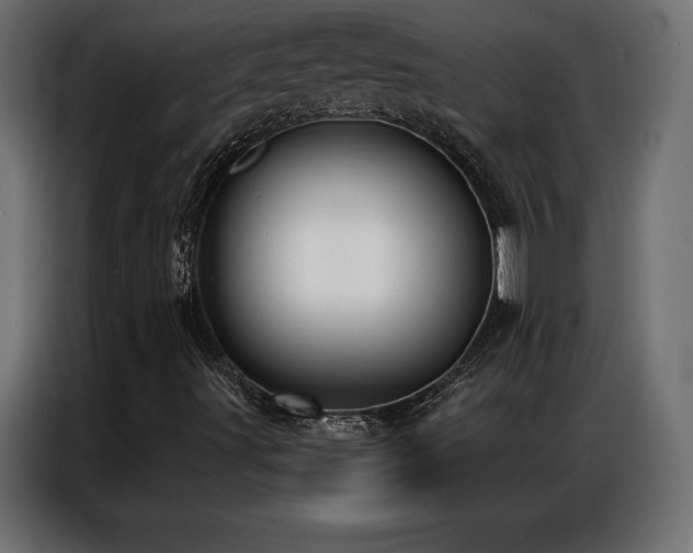 X0000086981491200704161439