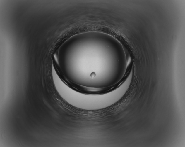 X0000086981492200704161439