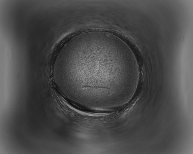X0000086981494200704161439