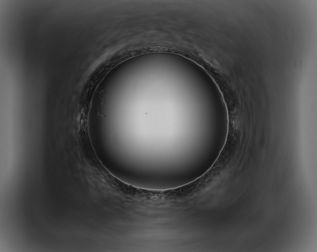 X0000086981495200704161439