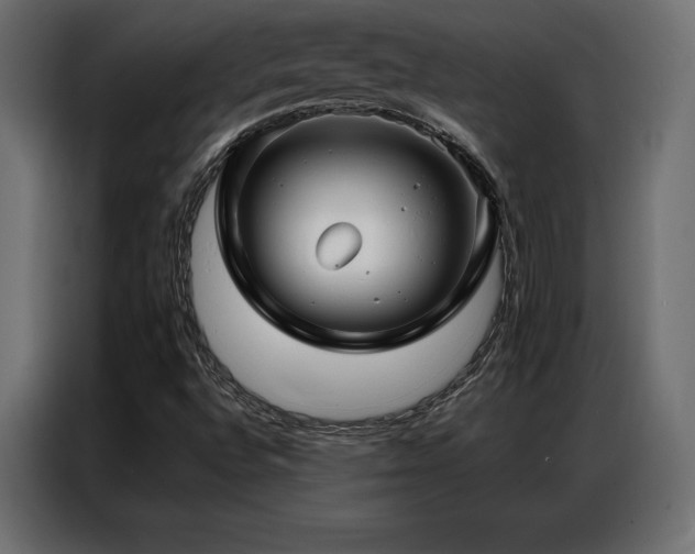 X0000086981496200704161439