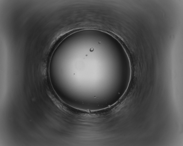 X0000086981499200704161439