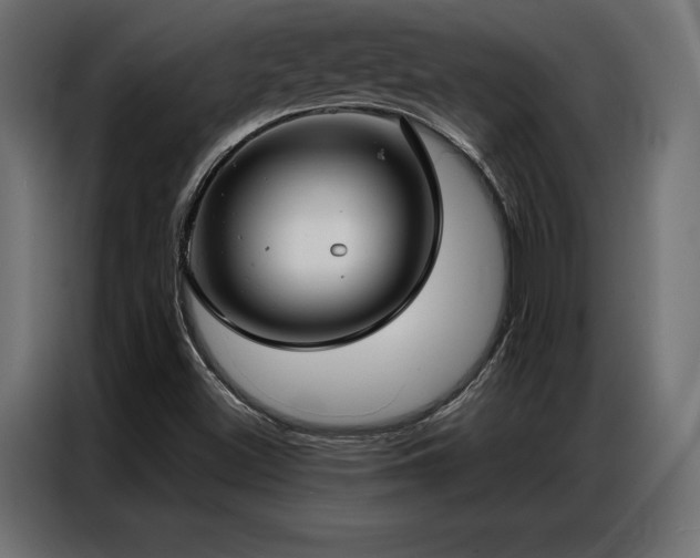 X0000086981500200704161439