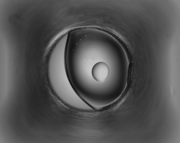 X0000086981502200704161439